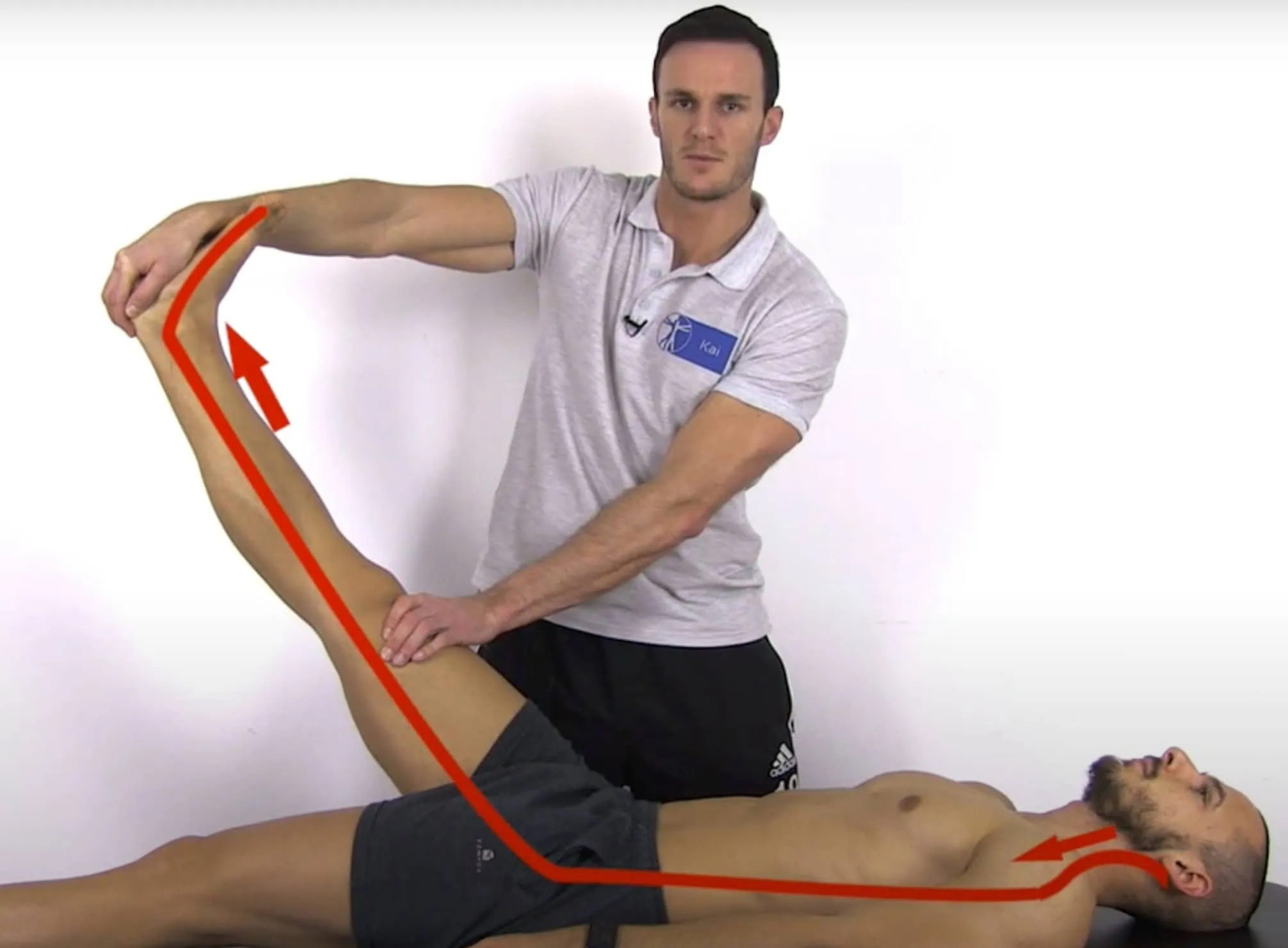 Slr Testing Straight Leg Raise Test met distale en proximale initiatie - Physiotutors