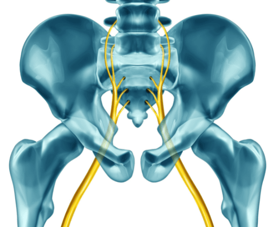 Positive Slr A fiabilidade do SLR (Straight Leg Raise Test) | Investigação