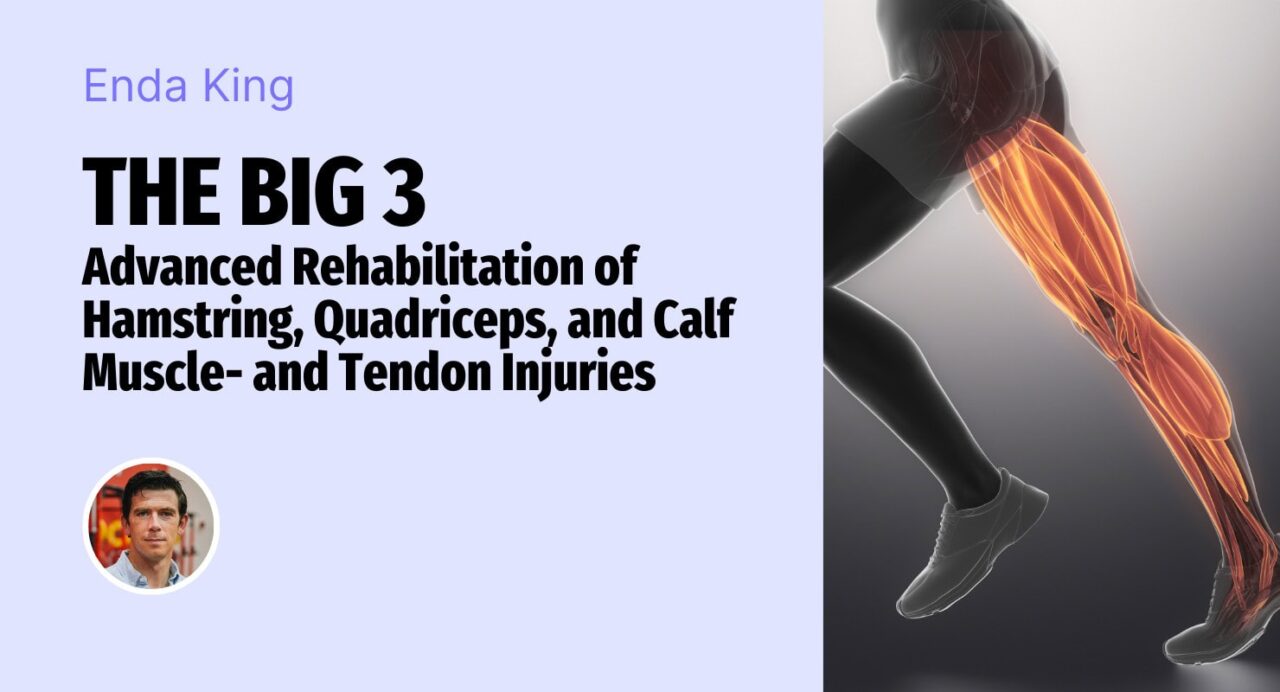 Rééducation avancée des blessures aux muscles et aux tendons des ischio-jambiers, des quadriceps et des mollets.