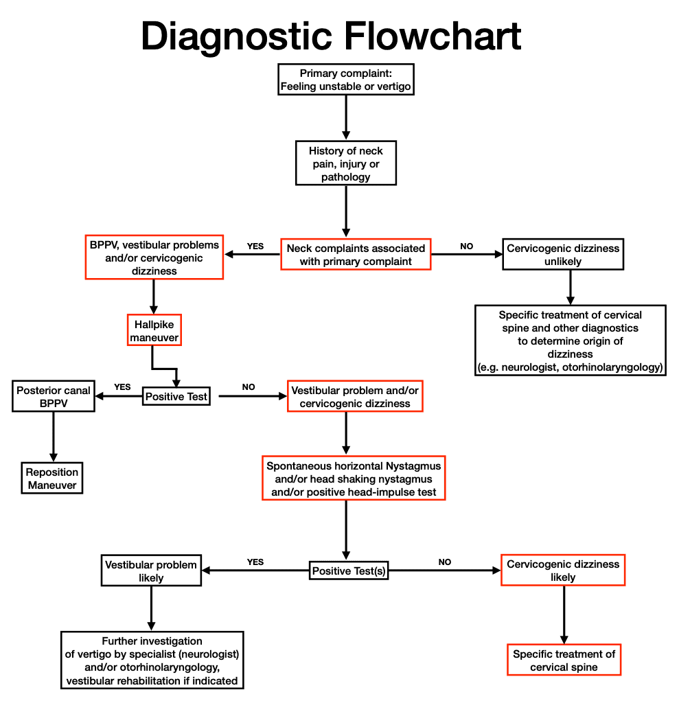 bppv-Flussdiagramm