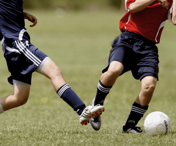 Bản cập nhật OSD của Ladenhauf và cộng sự 2020