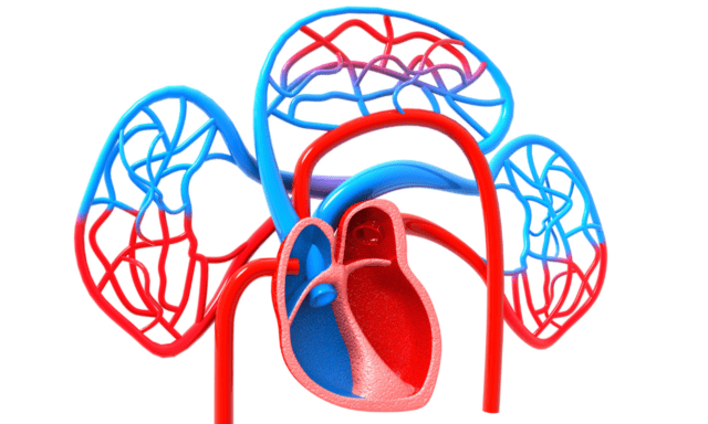 Cervicale arteriële disfunctie