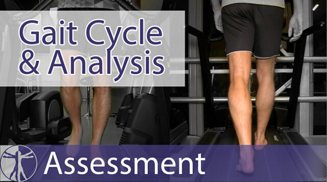 Gait analysis