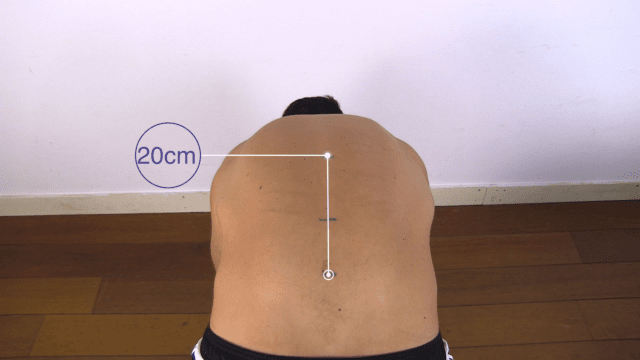 Schober Test
