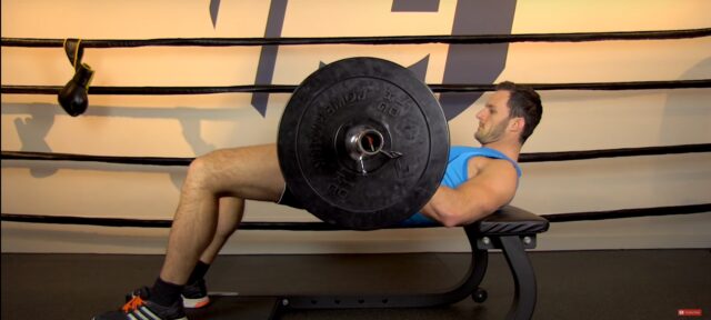 Gluteus maximus