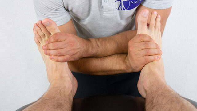Myotomes Lower Limb