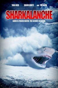 Shark funny 2 200x300 1