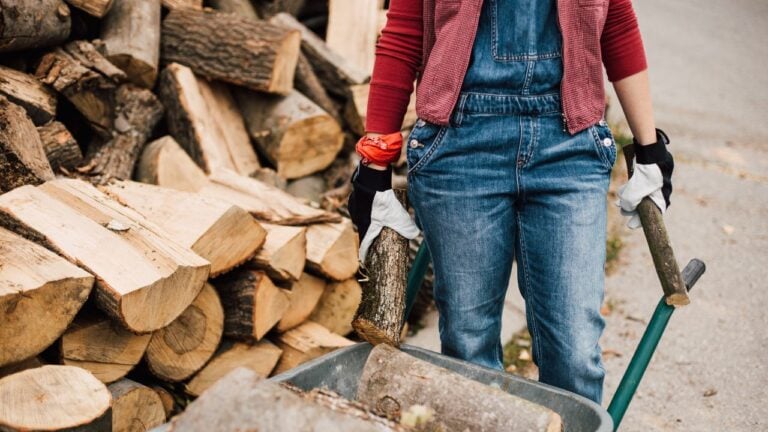paradoxe de l'activité physique