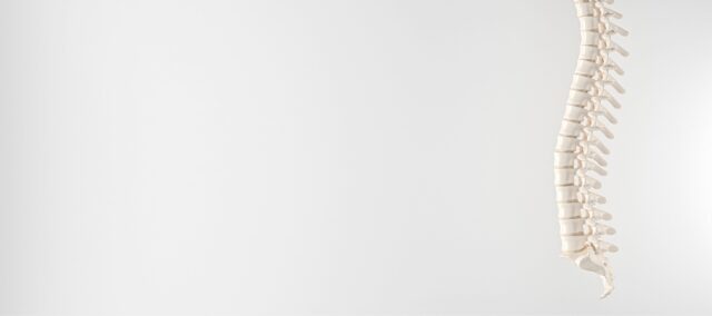 Low back pain trajectories and MRI findings