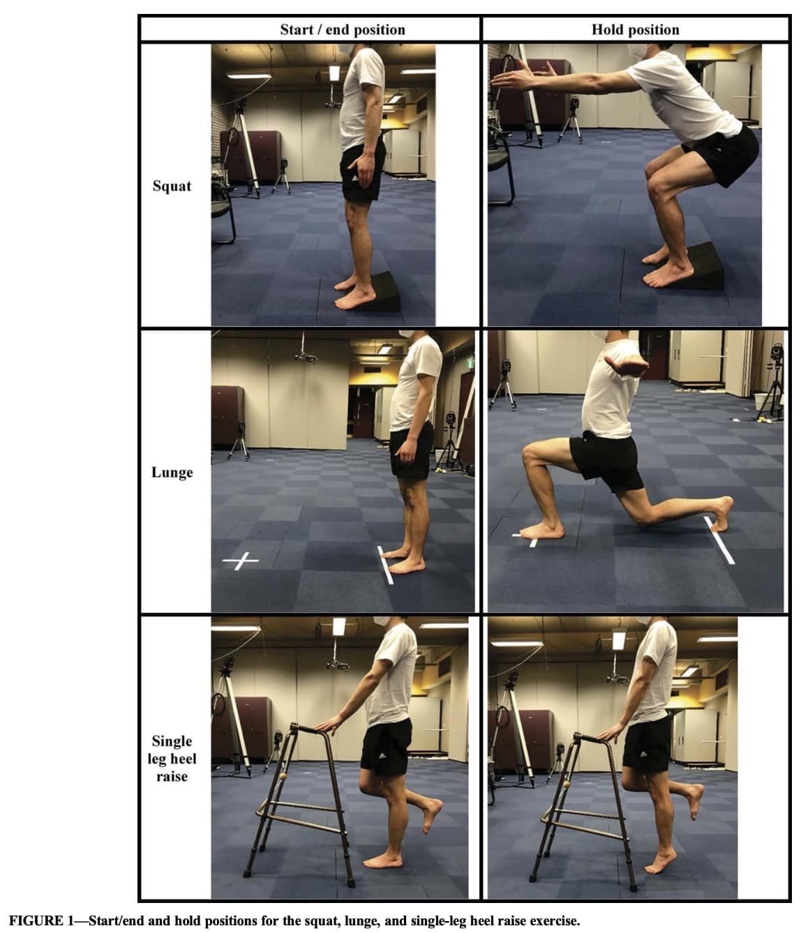 Knee Joint Loading in Osteoarthritis with Varus Alignment Physiotutors