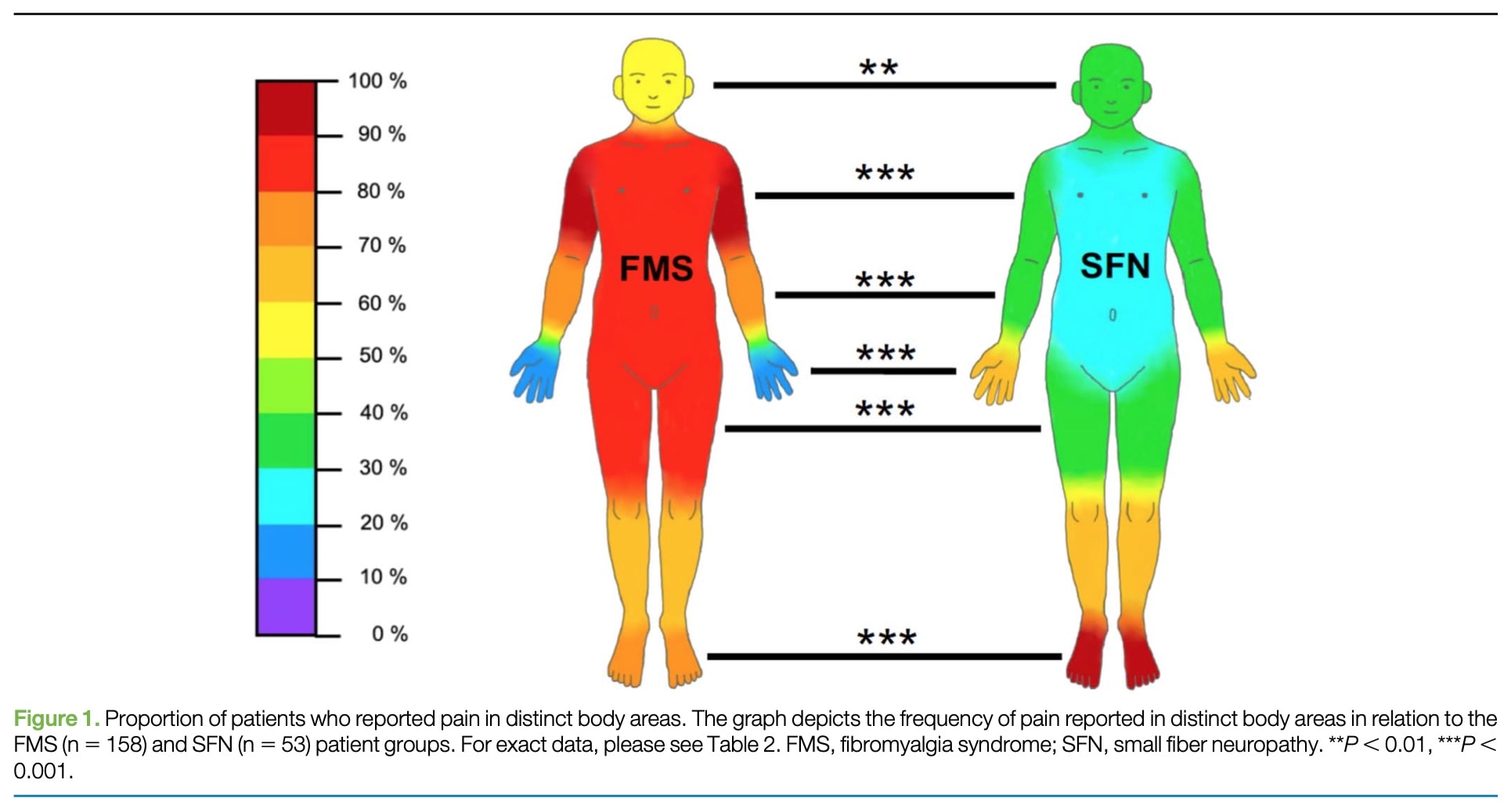 Fibromyalgie-Syndrom