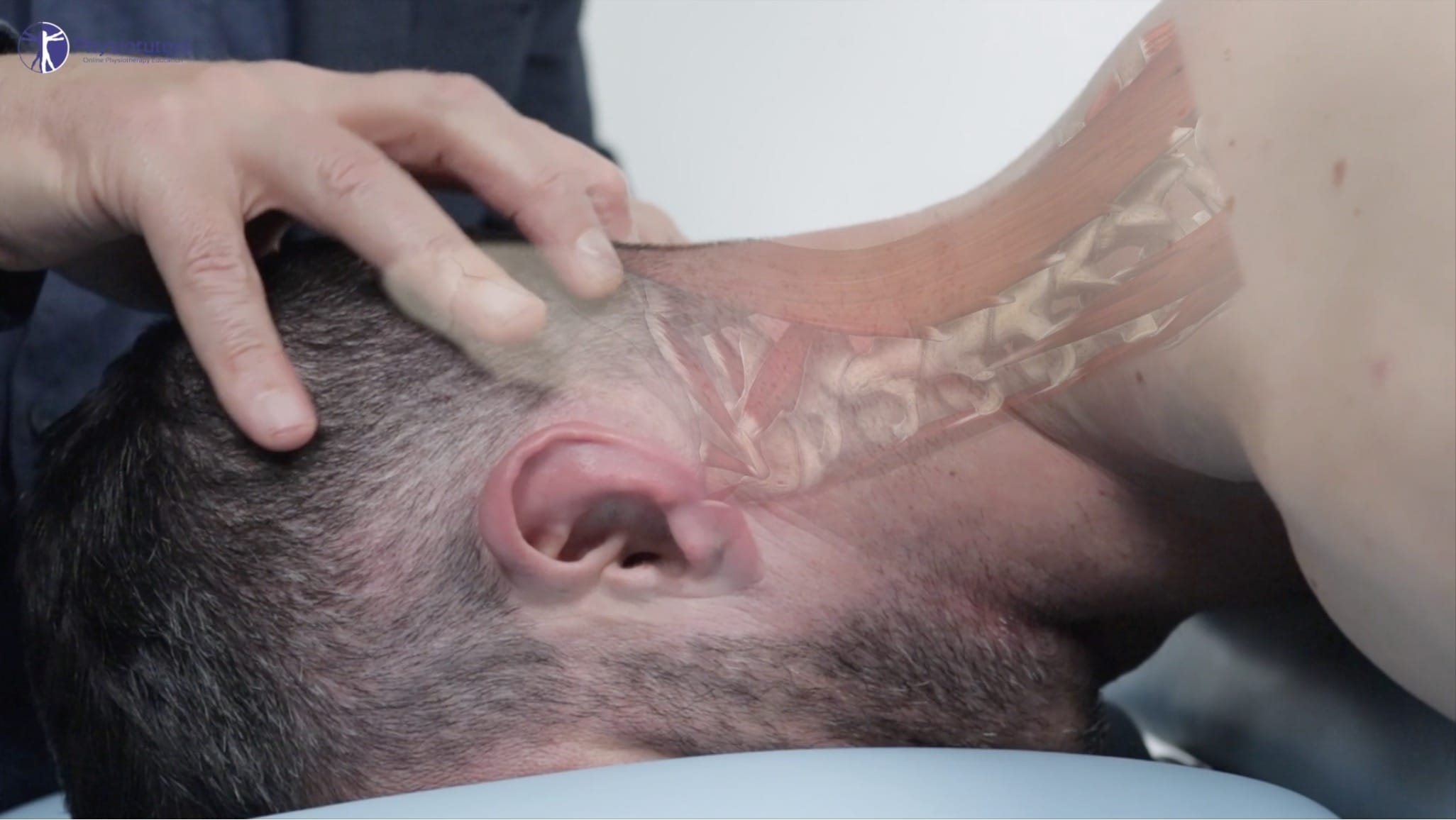 Palpation de la colonne vertébrale de l'Ucx