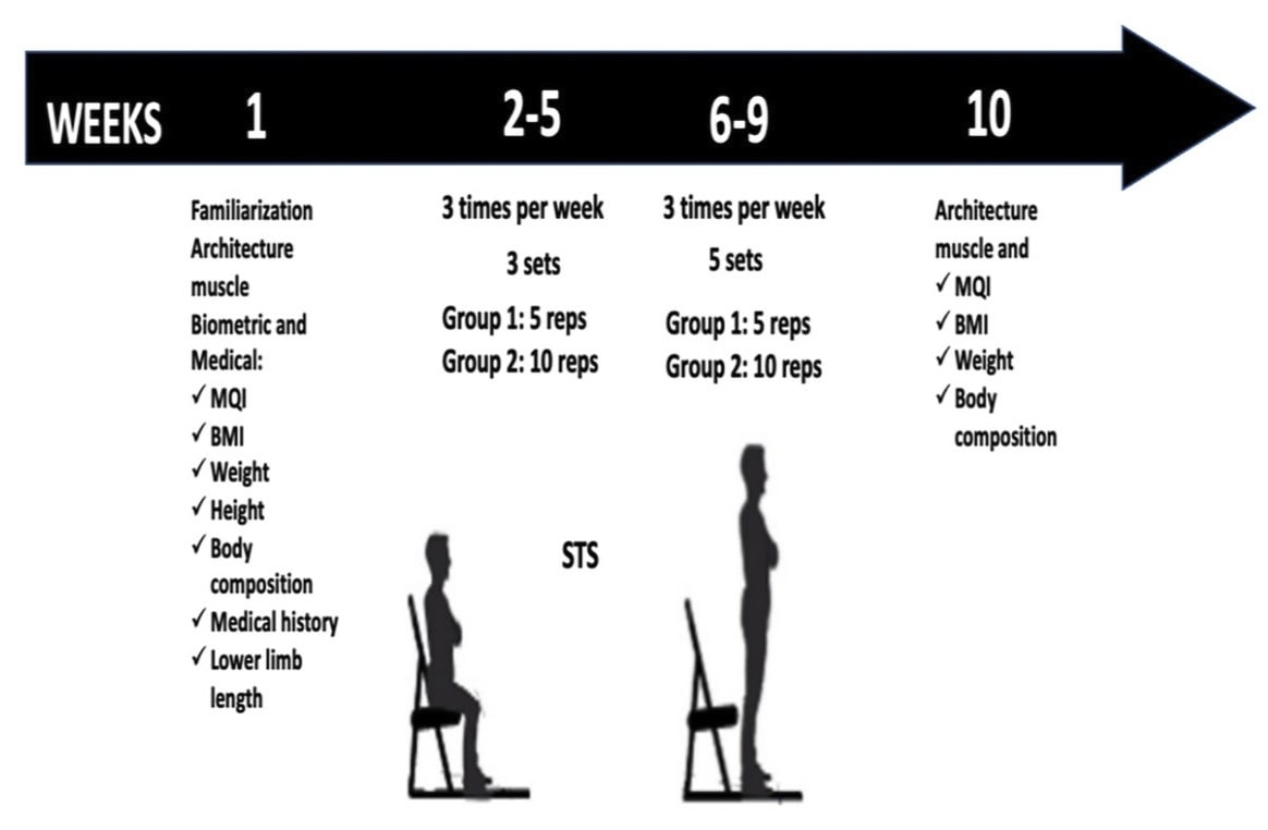 30秒チェア・スタンド・テスト