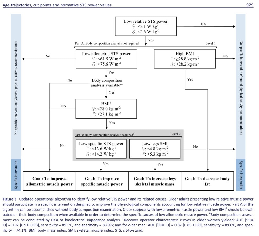 30秒チェア・スタンド・テスト