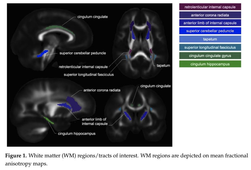 educazione alle neuroscienze del dolore