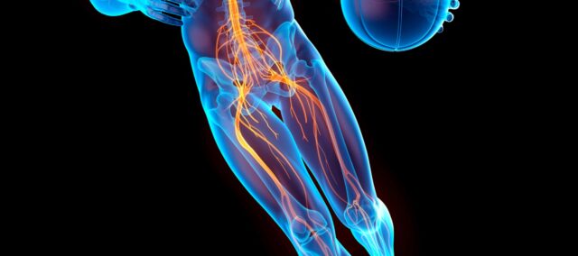 前交叉韧带损伤后的感觉运动功能障碍