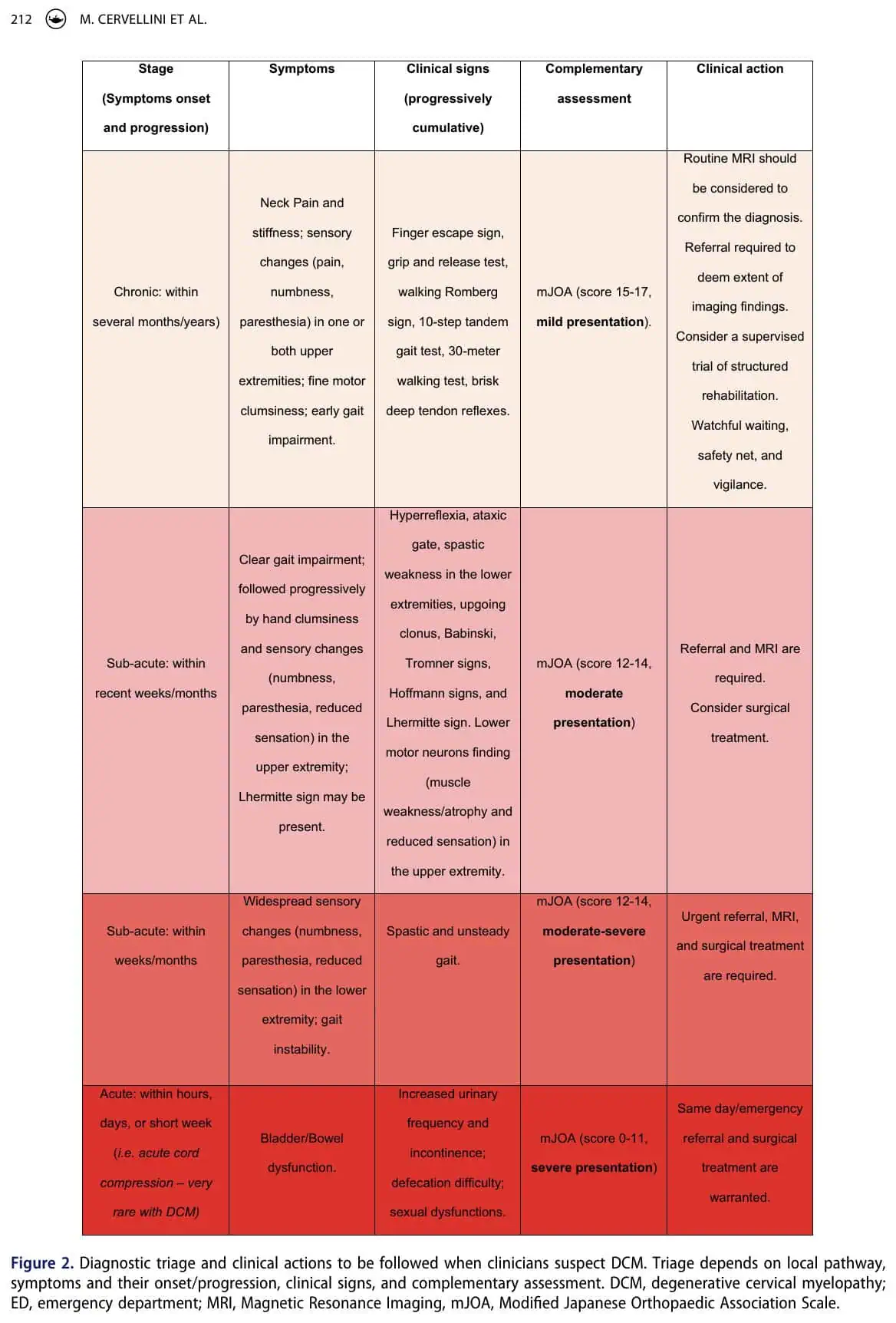 myélopathie cervicale dégénérative