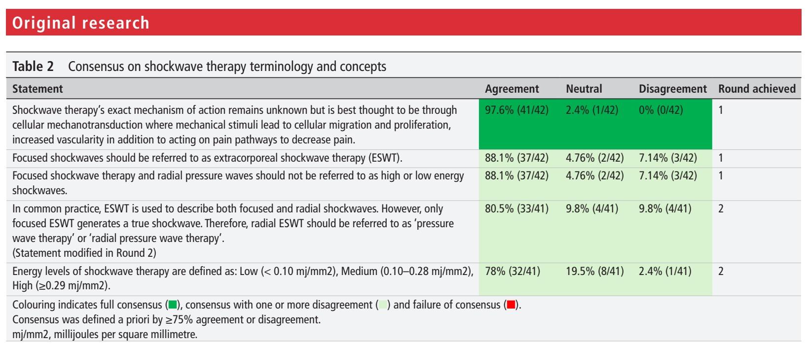 Shockwave For Musculoskeletal Pathologies - Recommendations from a Delphi Study