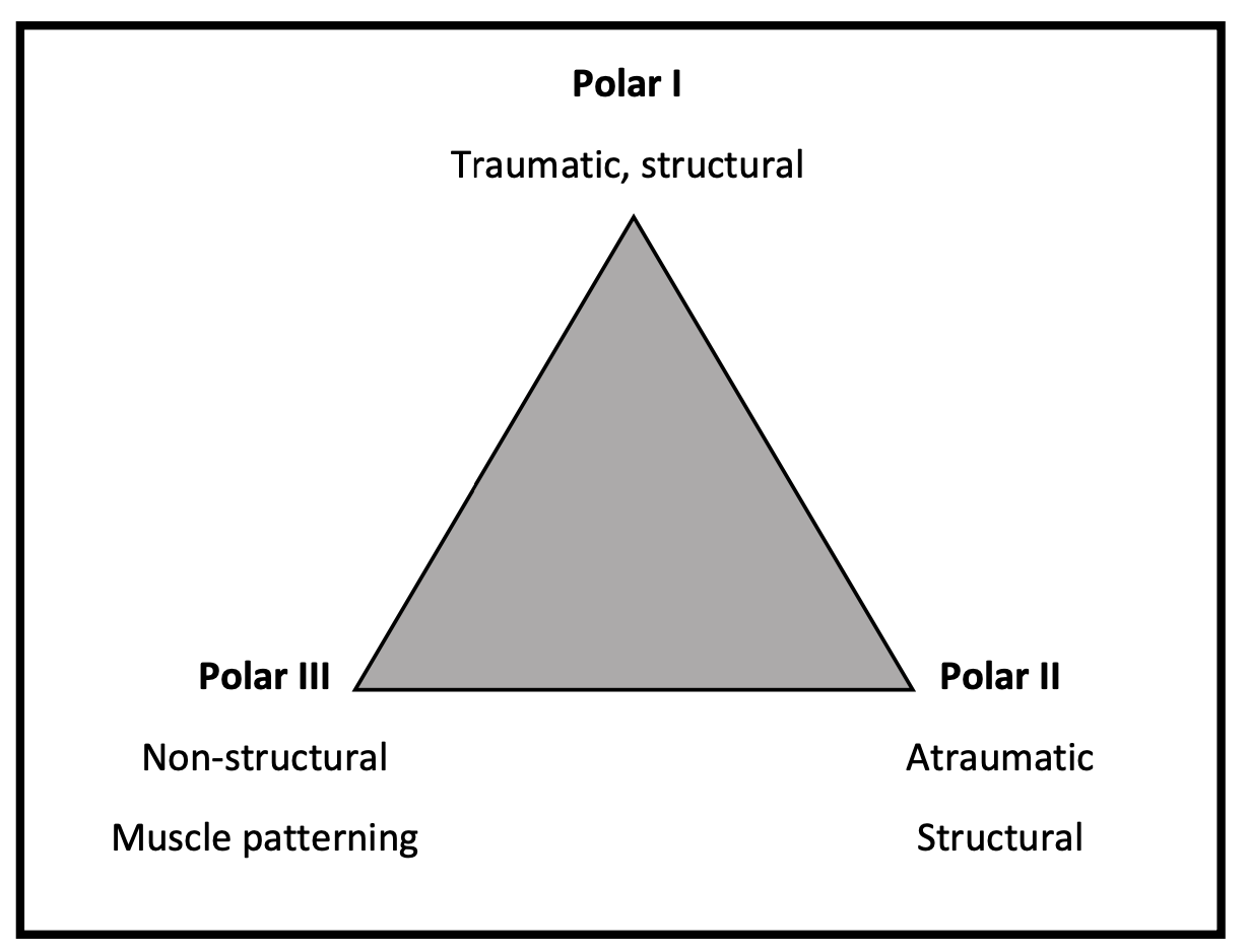 Stanmore shoulder instability continuum